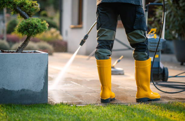 Best Roof Pressure Washing  in Rossmoor, CA